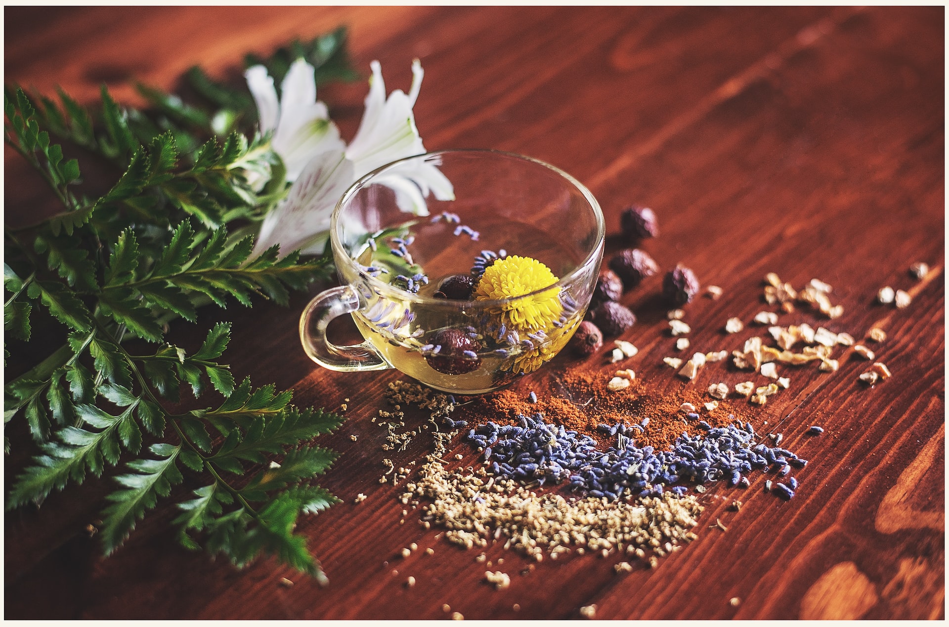 Naturopathic Medicine in Tempe, AZ